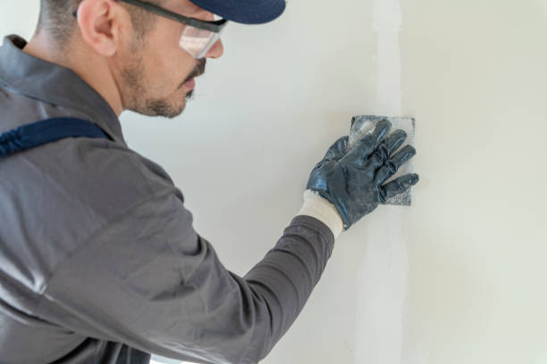 Mold Odor Removal Services in Clio, MI
