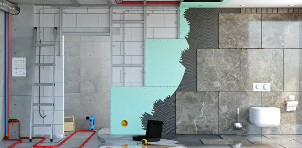Best Post-Construction Mold Inspection  in Clio, MI