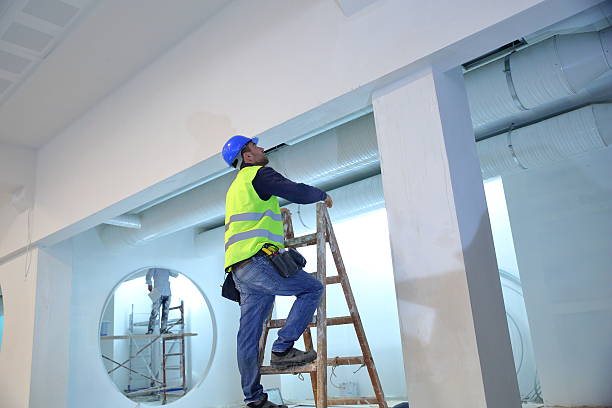 Best Biohazard Mold Removal  in Clio, MI