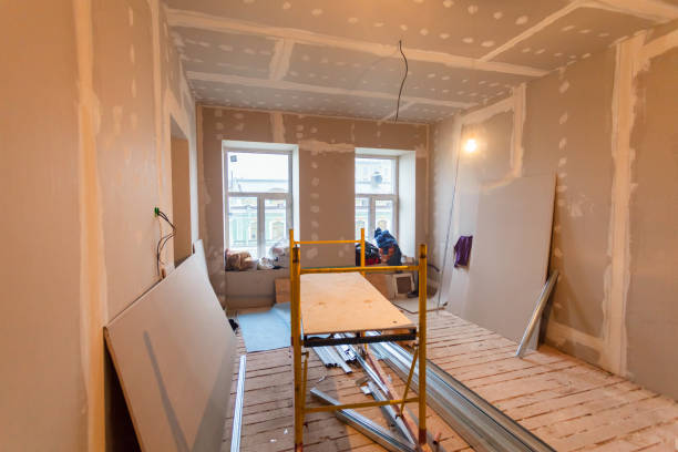 Professional Mold Removal in Clio, MI