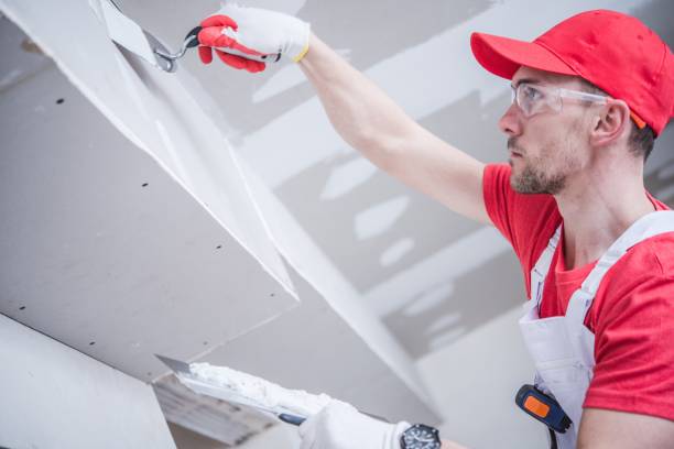 Best Environmental Consulting for Mold Prevention  in Clio, MI